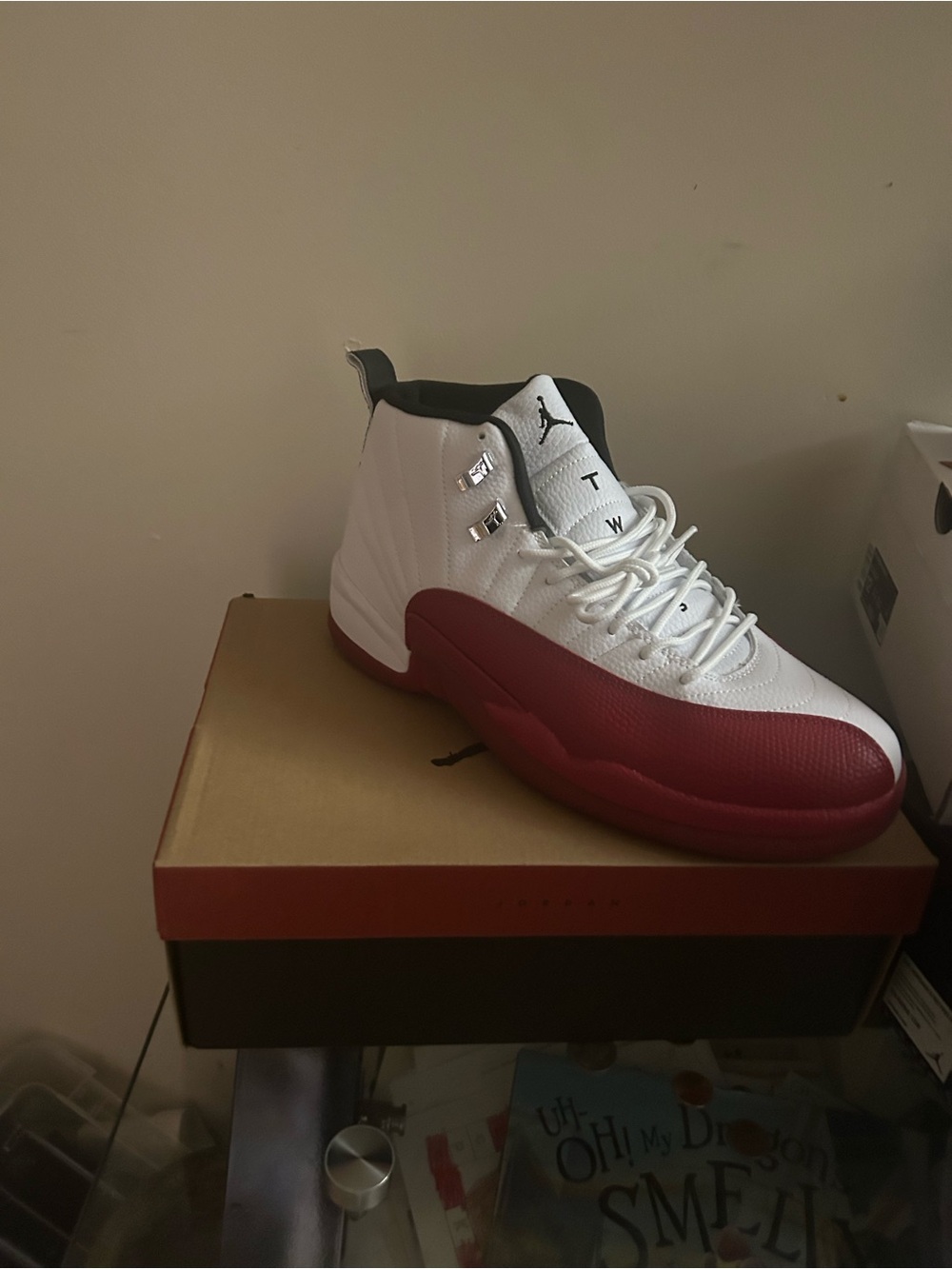 White and red Jordan 12 trainers